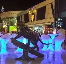 جوله فى مدينه شرم الشيخ ( اقل عدد 4 اشخاص )