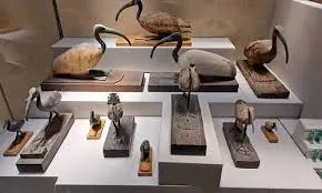 متحف شرم الشيخ – رحلة عبر تاريخ الحضارة المصرية