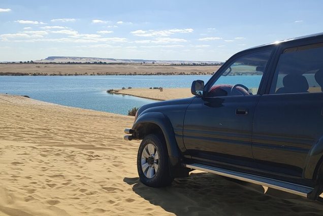 2 Days Fayoum and Wadi Al Hitan Tour from Cairo