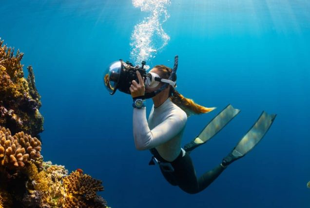 Snorkeling Excursion in Hurghada: Dive into Red Sea Wonders