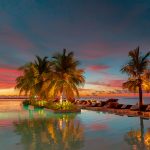 pexels-asadphoto-23696826