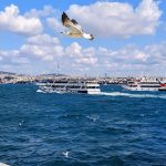 pexels-guzel-sadykova-3331480-18338378