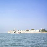 pexels-moralestorres98-19951509