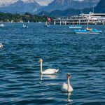 pexels-shootcasechronicles-7917441