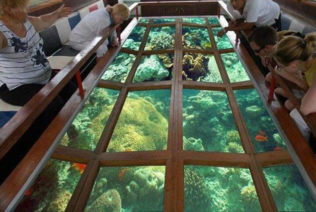 Glass Bottom Boat Excursion in Sharm El Sheikh