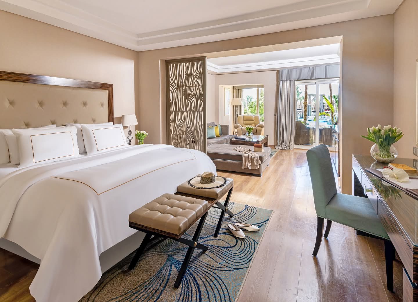 Conferences in Egypt: A Global Platform with Decades of Expertise