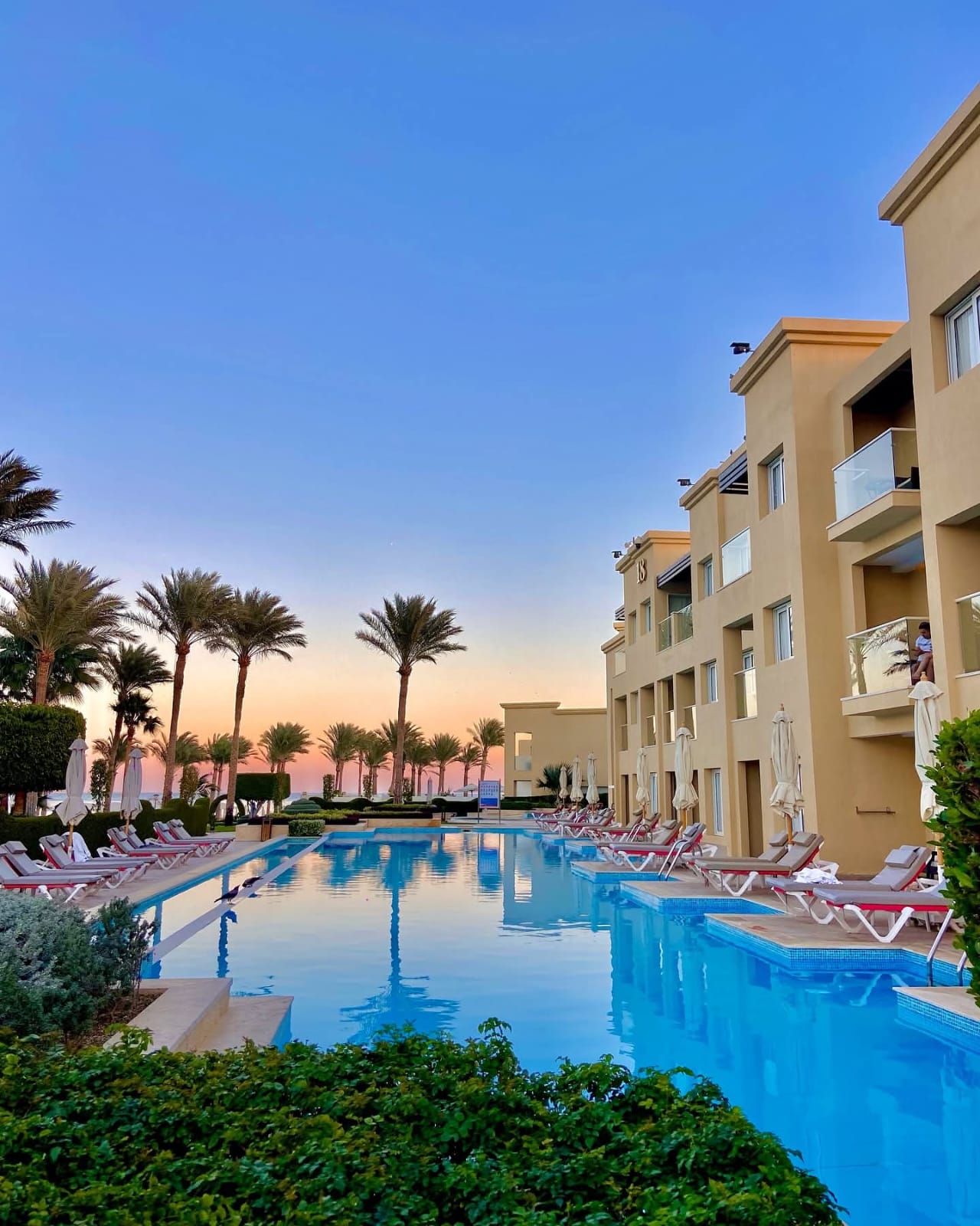 خدمات المسار السريع مطارات مصر