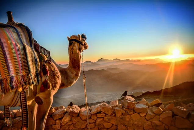 جبل موسى وسانت كاترين من شرم