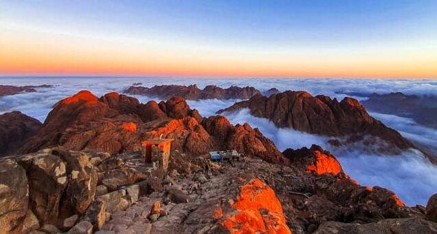 رحلة الى البتراء من شرم الشيخ