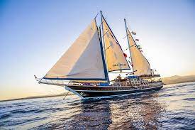 عشاء على اليخت الشراعى سينا دريم